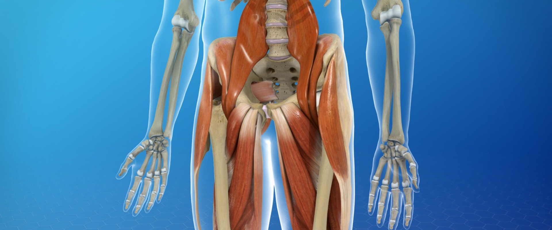 Understanding Tissue Damage: What You Need to Know
