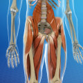 Understanding Tissue Damage: What You Need to Know